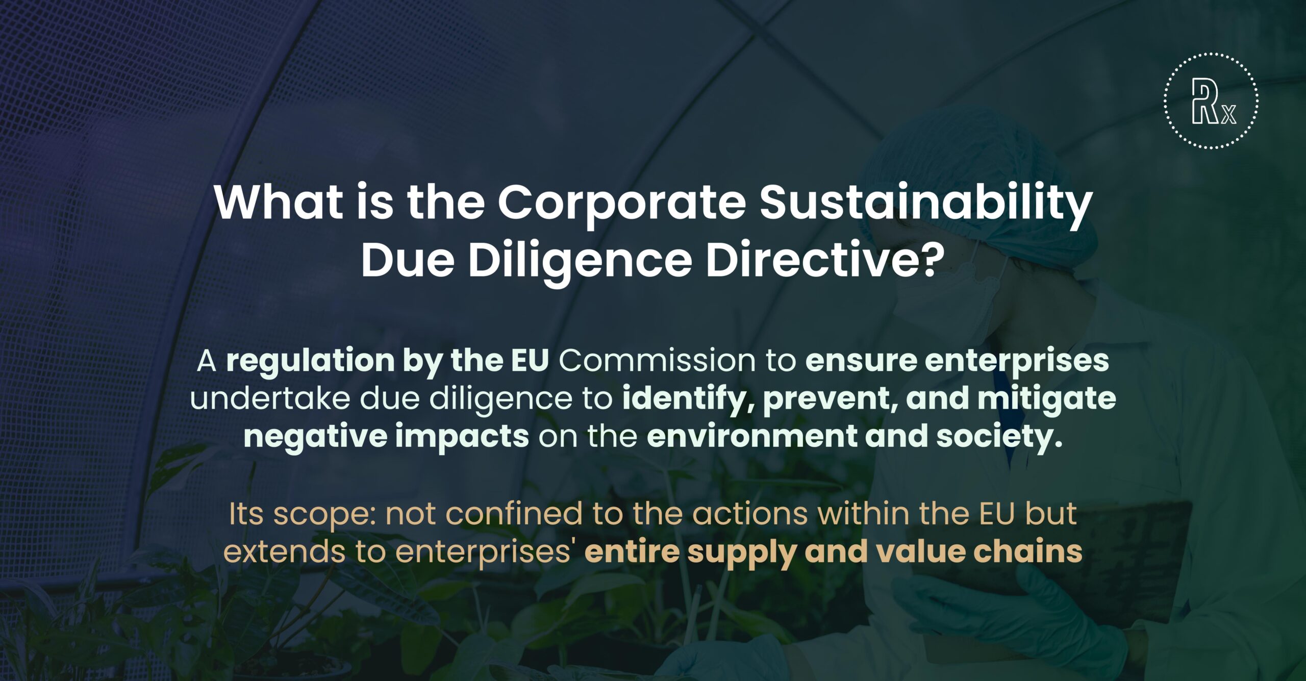 RegenX - corporate sustainability due diligence directive