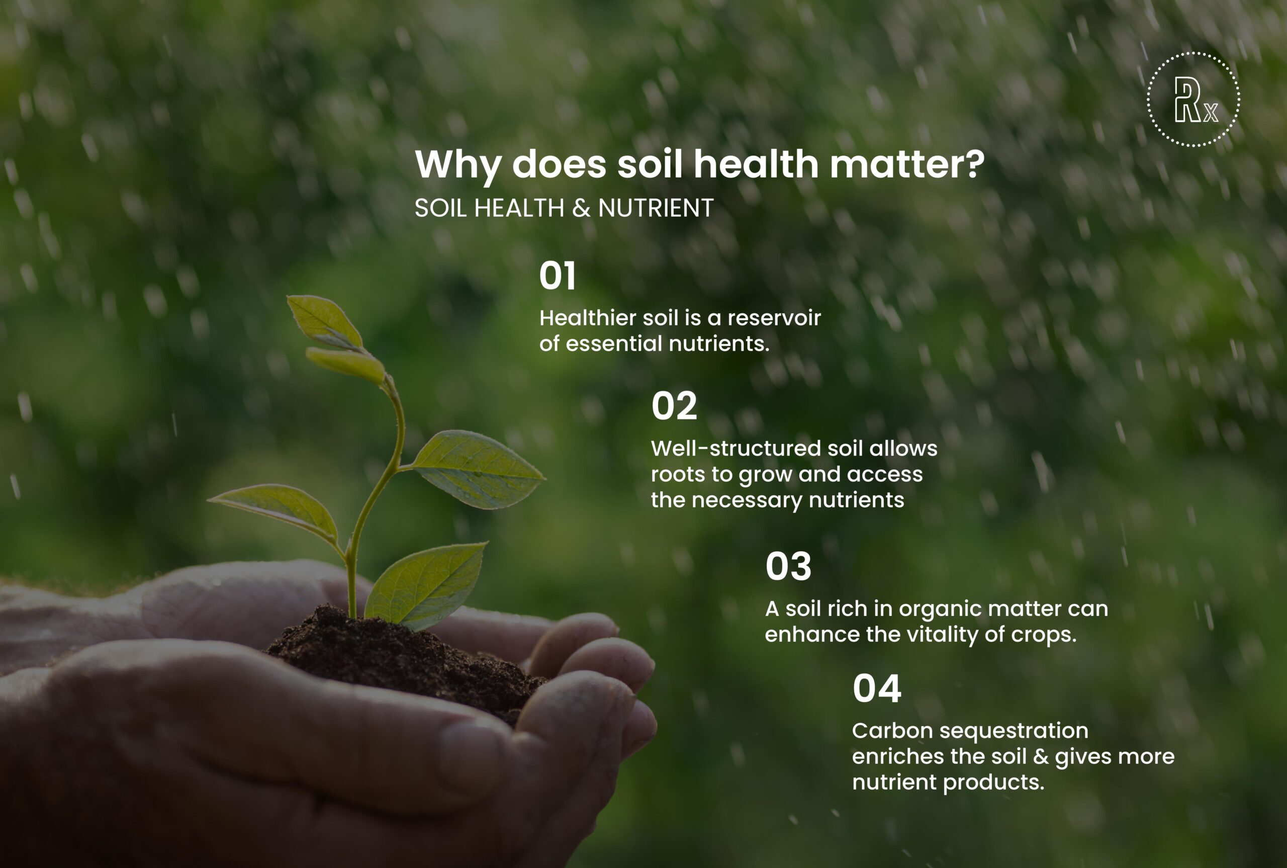 RegenX - why should consumers care about soil health